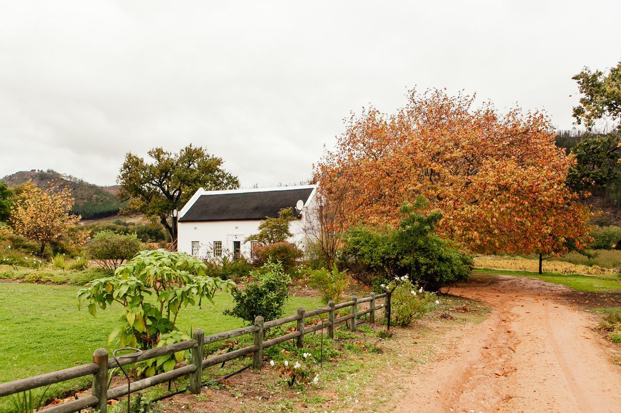 Basse Provence Country House Bed & Breakfast Franschhoek Luaran gambar