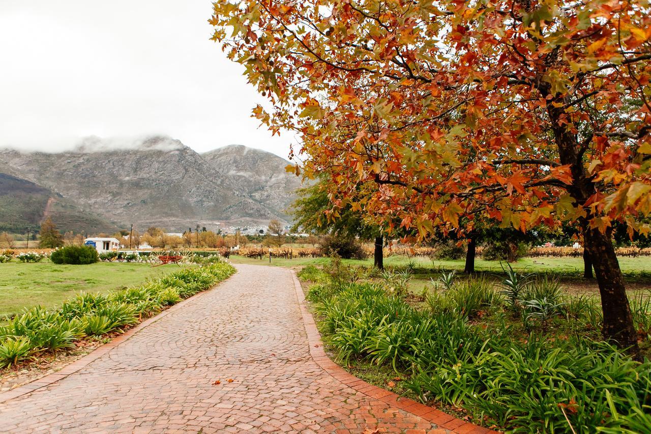 Basse Provence Country House Bed & Breakfast Franschhoek Luaran gambar